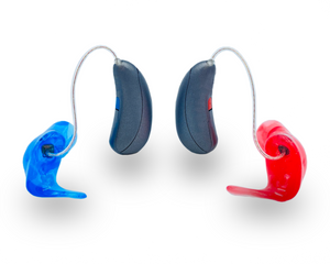 Hearing Aid Ear Molds - TLS Sound Labs